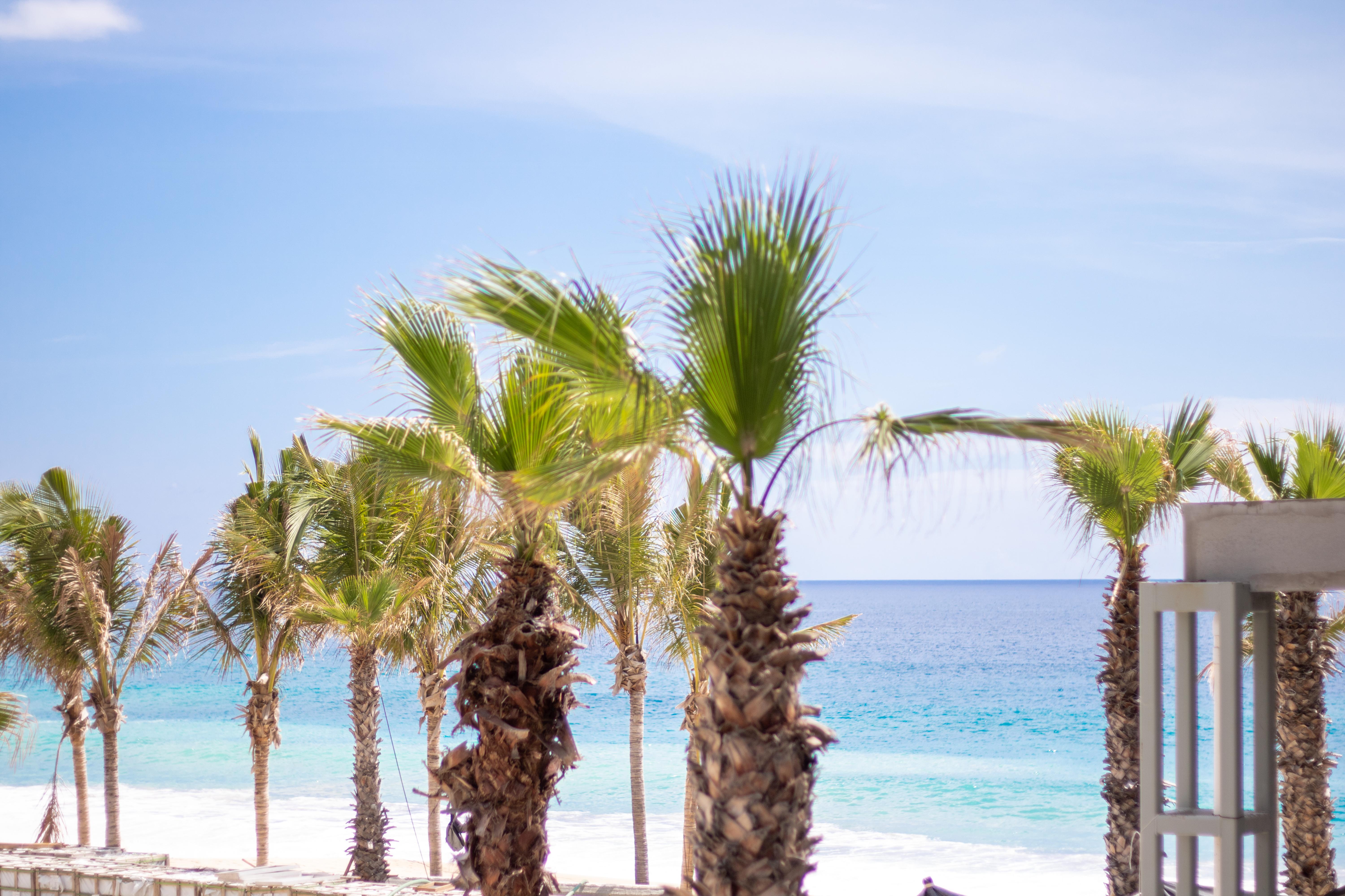 Garza Blanca Resort & Spa Los Cabos กาโบซานลูกัส ภายนอก รูปภาพ